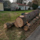 Illustration for article titled The pine is gone. Now I wont feel bad about buying a truck and parking it in the driveway.